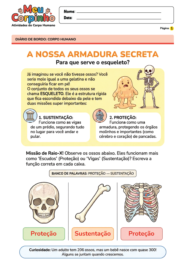 Exemplo Atividade Corpo Humano 1