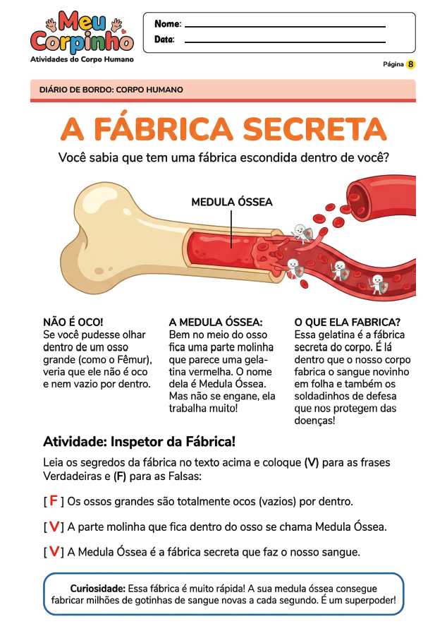 Exemplo Atividade Corpo Humano 2