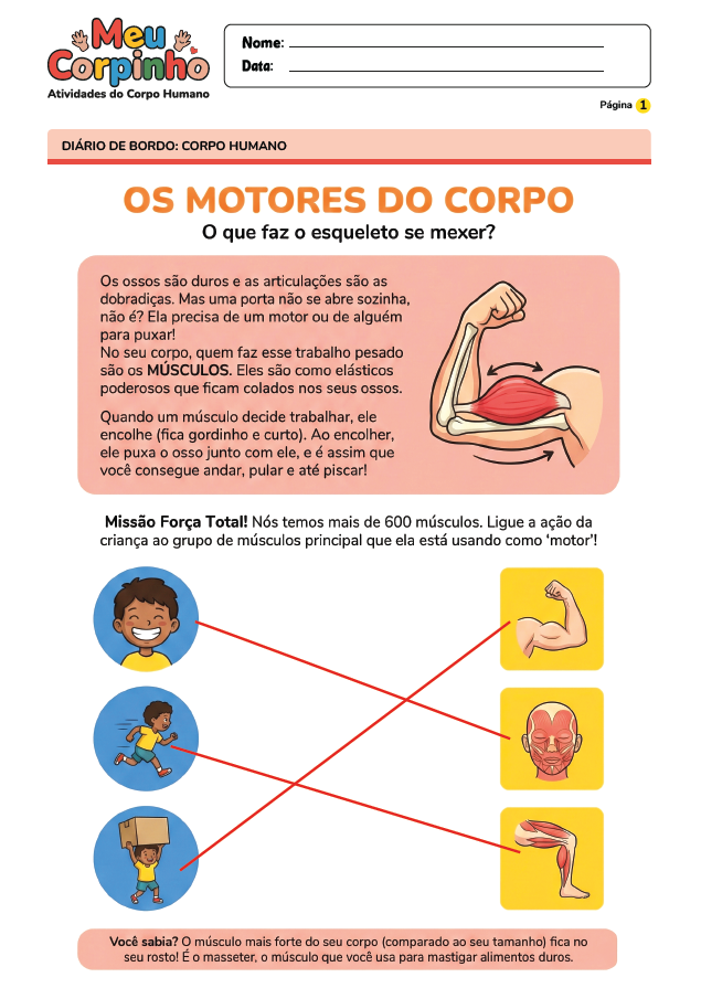 Exemplo Atividade Corpo Humano 3