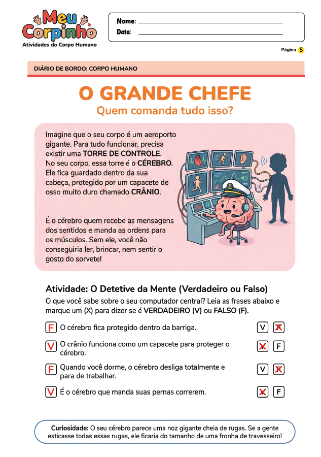 Exemplo Atividade Corpo Humano 4