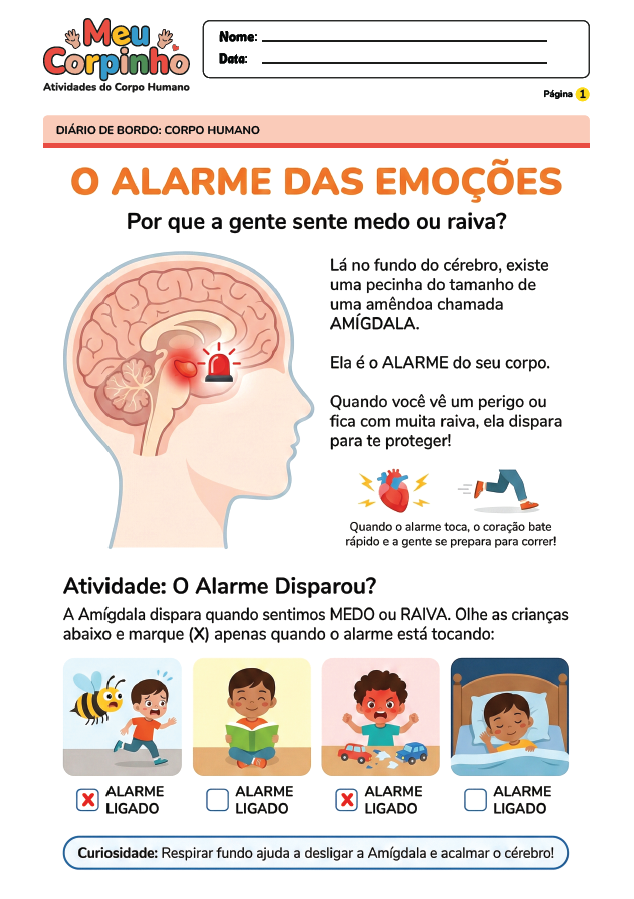 Exemplo Atividade Corpo Humano 5