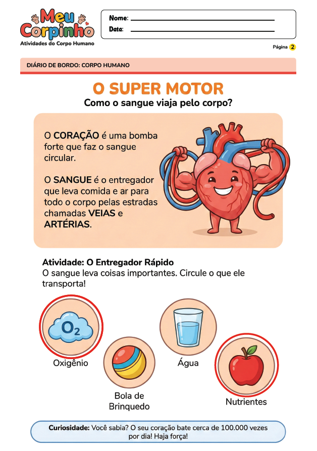 Exemplo Atividade Corpo Humano 6