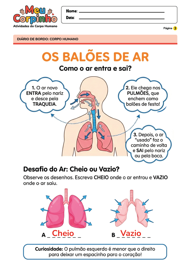 Exemplo Atividade Corpo Humano 7