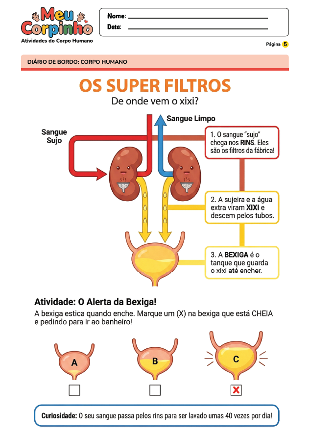 Exemplo Atividade Corpo Humano 8