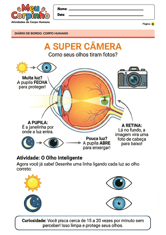 Exemplo Atividade Corpo Humano 10