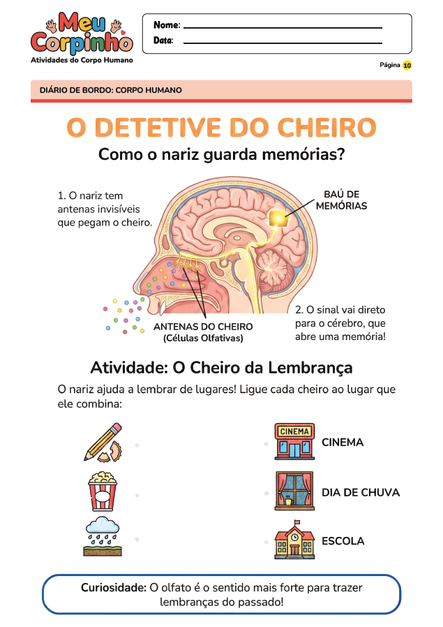 Exemplo Atividade Corpo Humano 11