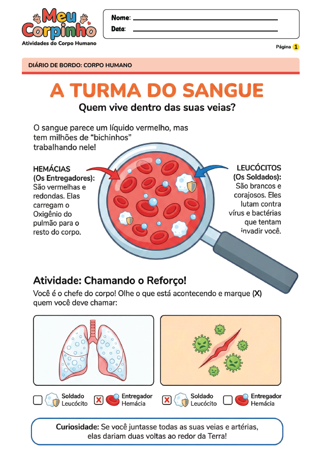 Exemplo Atividade Corpo Humano 12