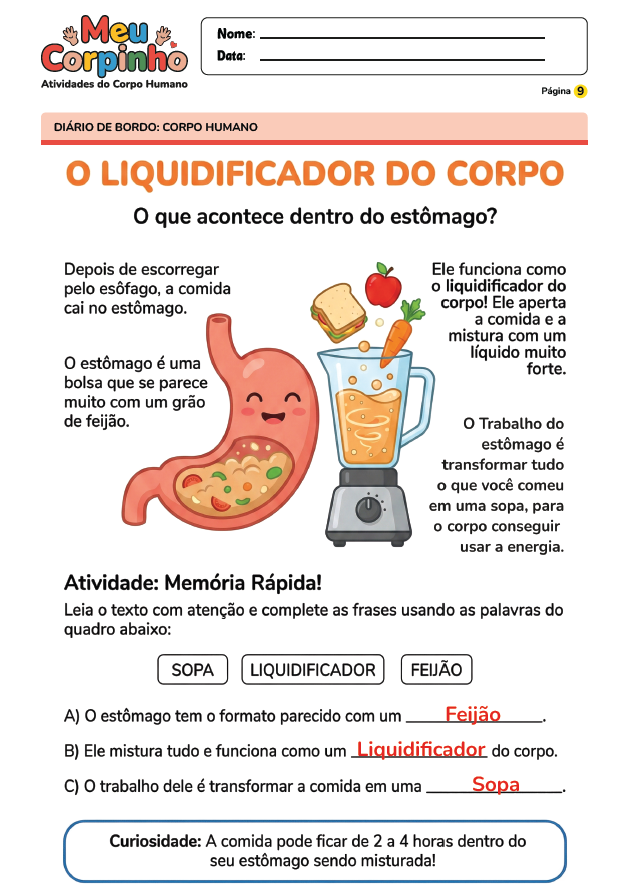 Exemplo Atividade Corpo Humano 14