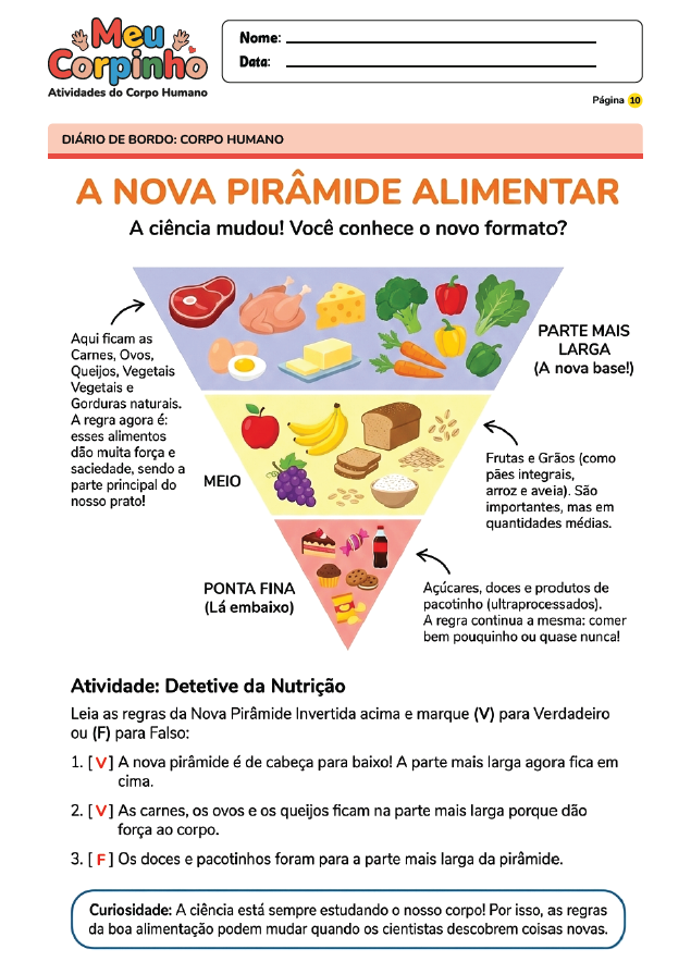 Exemplo Atividade Corpo Humano 15