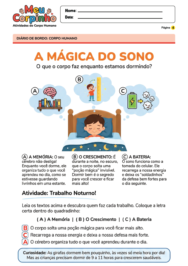 Exemplo Atividade Corpo Humano 17